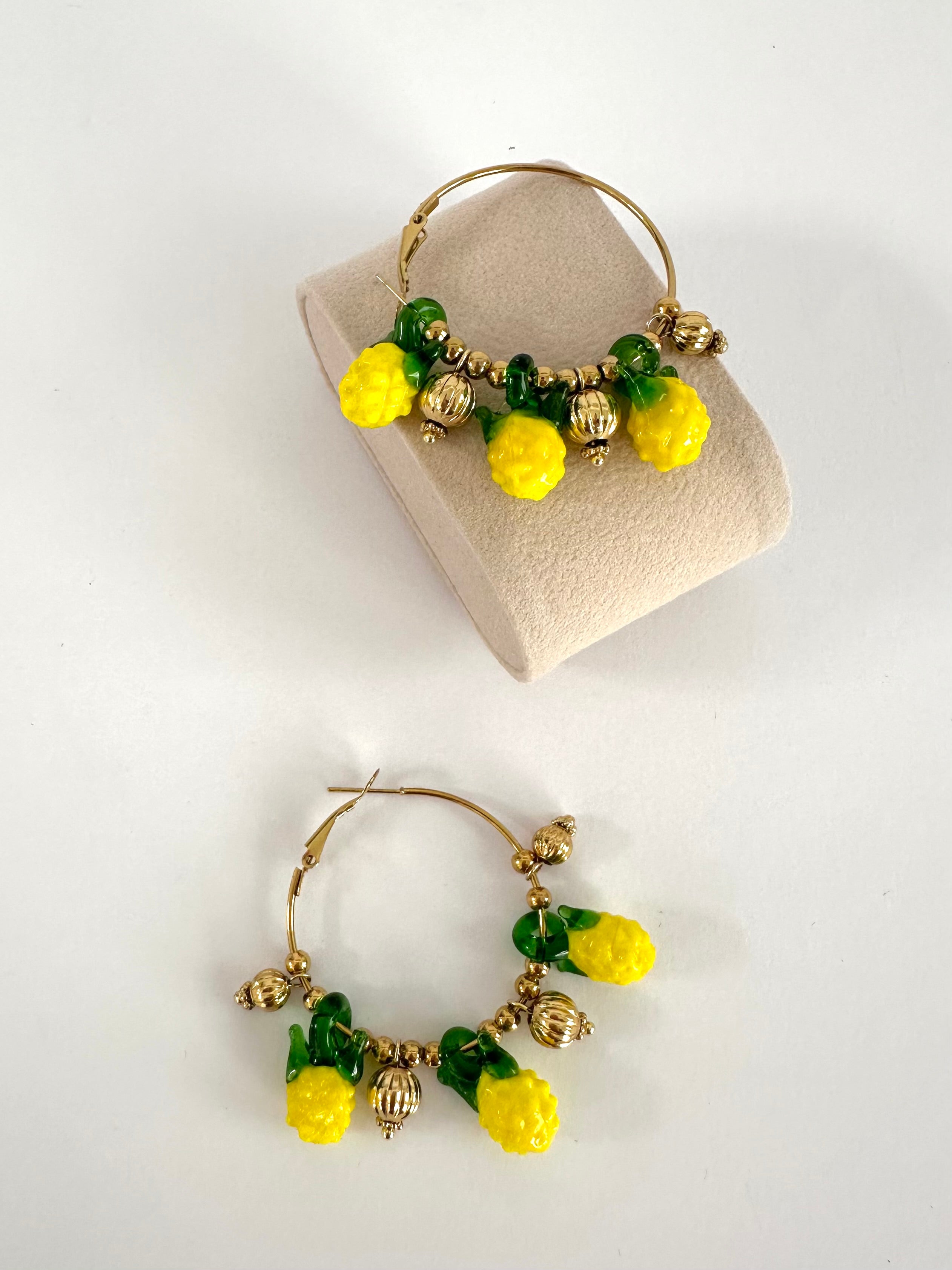 Orecchini fruit Circle ananas